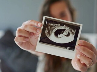Desarrollo del bebé durante el embarazo 