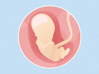 semana 13 semana 13