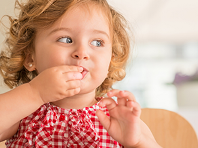 ¿Qué es el baby-led weaning? ¿Qué es el baby-led weaning?
